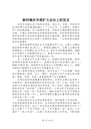 新村镇在市委扩大会议上的发言稿 (2)