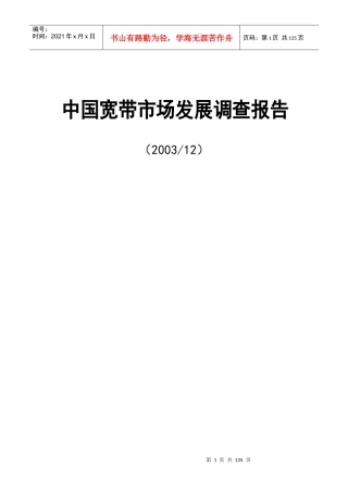 我国宽带市场发展调查报告