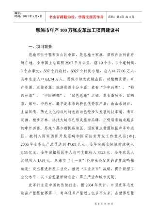 恩施市皮革加工项目建议书