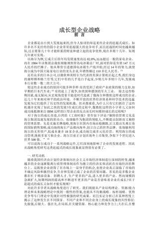 成长型企业战略