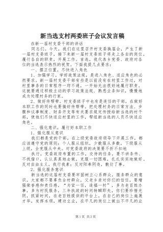 新当选支村两委班子会议发言