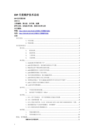 浪潮ERP月度维护技术总结