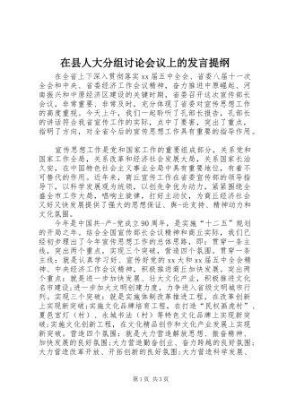 在县人大分组讨论会议上的发言材料