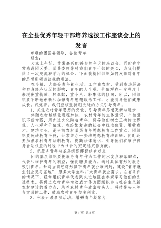 在全县优秀年轻干部培养选拨工作座谈会上的发言稿 (2)
