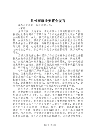 县长在就业安置会发言稿