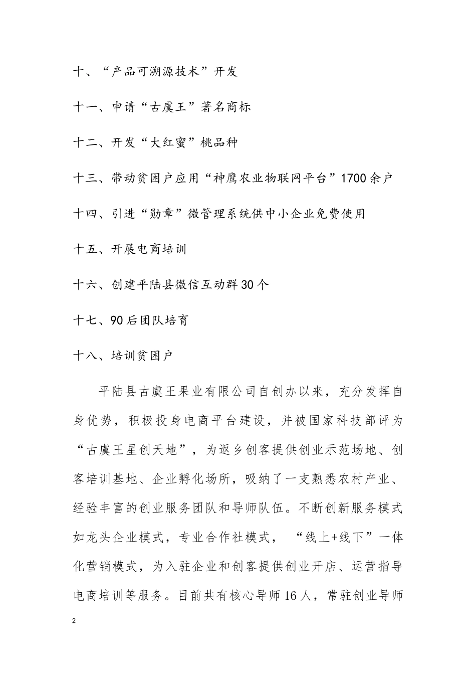 电商典型案例_第2页