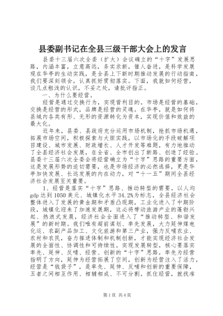县委副书记在全县三级干部大会上的发言稿