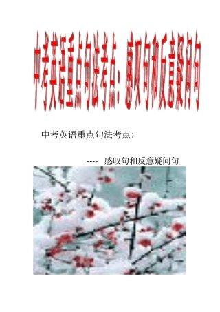 中考英语重点句法考点：感叹句和反意疑问句