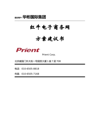 红牛电子商务网方案书(doc)