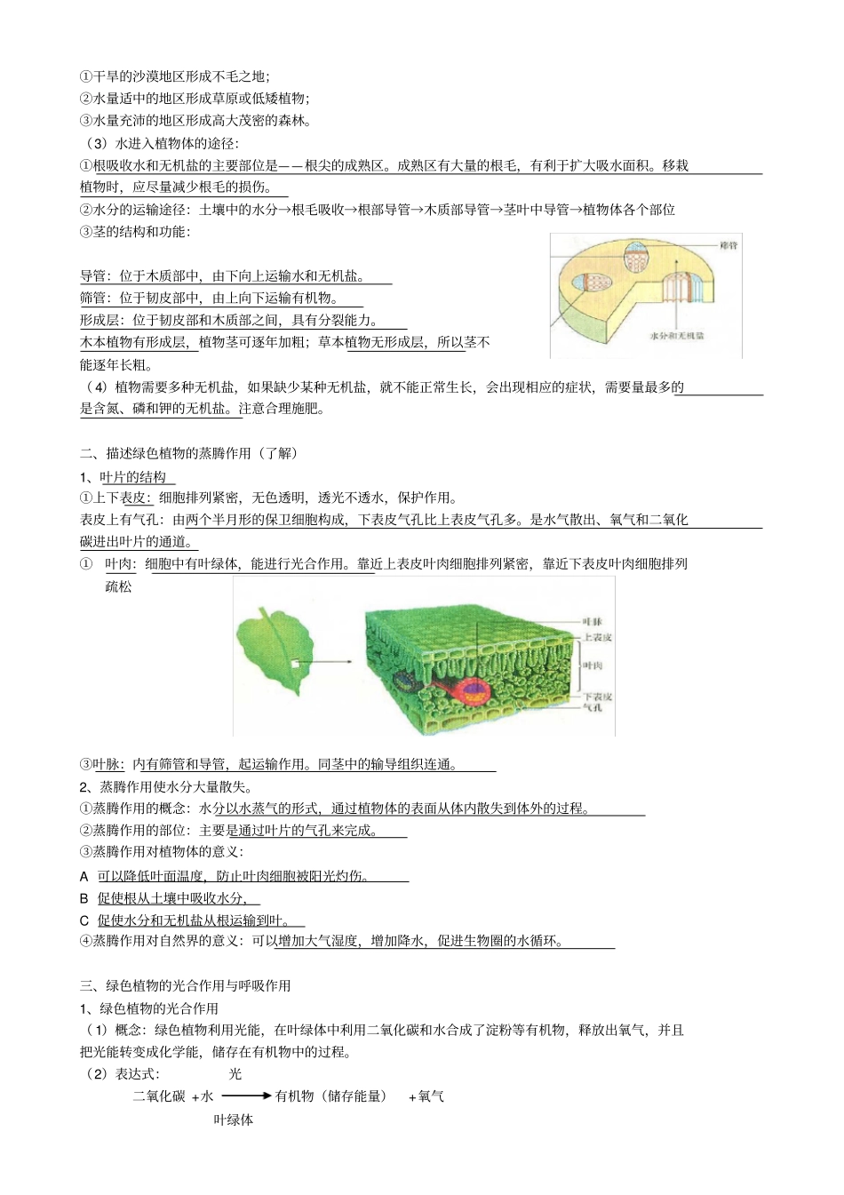 初中生物会考专题一生物圈中的绿色植物_第3页