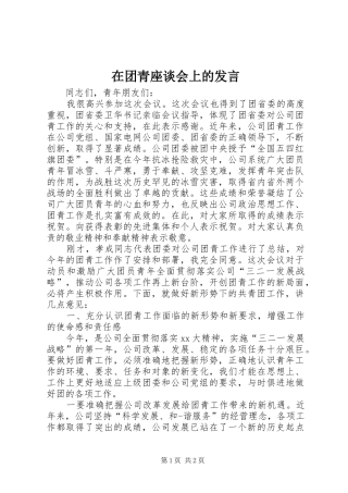 在团青座谈会上的发言稿 (3)