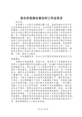 县长在低保自查自纠工作会发言稿