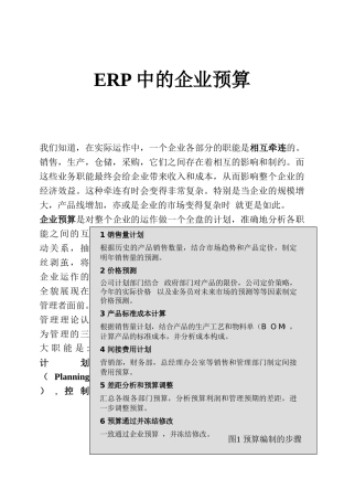 浅析ERP中的企业预算