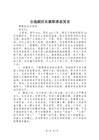 公选副区长就职表态发言稿
