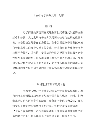 宁波市电子商务发展计划书