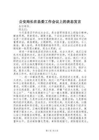 公安局长在县委工作会议上的表态发言稿 (2)