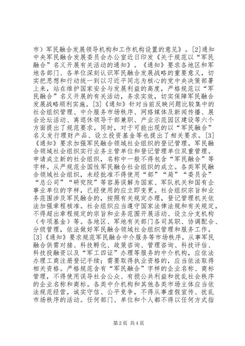 战略发展委员会发言_第2页