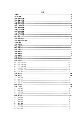 数码港网站运营推广策划方案