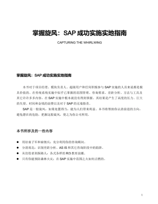 掌握旋风：SAP成功实施实地指南