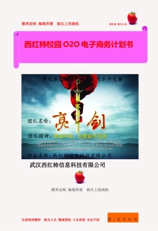 西红柿校园O2O电子商务计划书