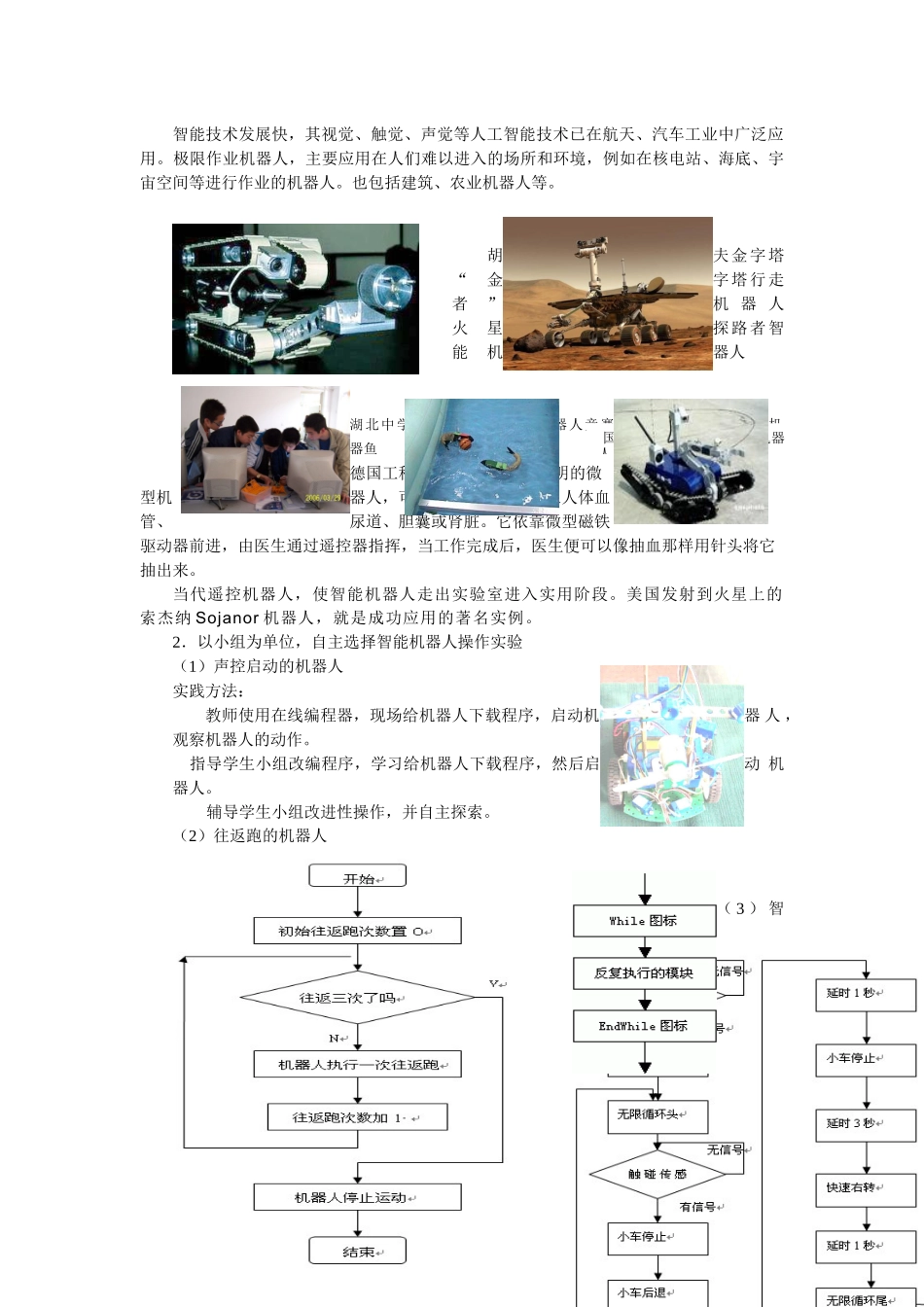 第一单元第4节智能机器人_第3页