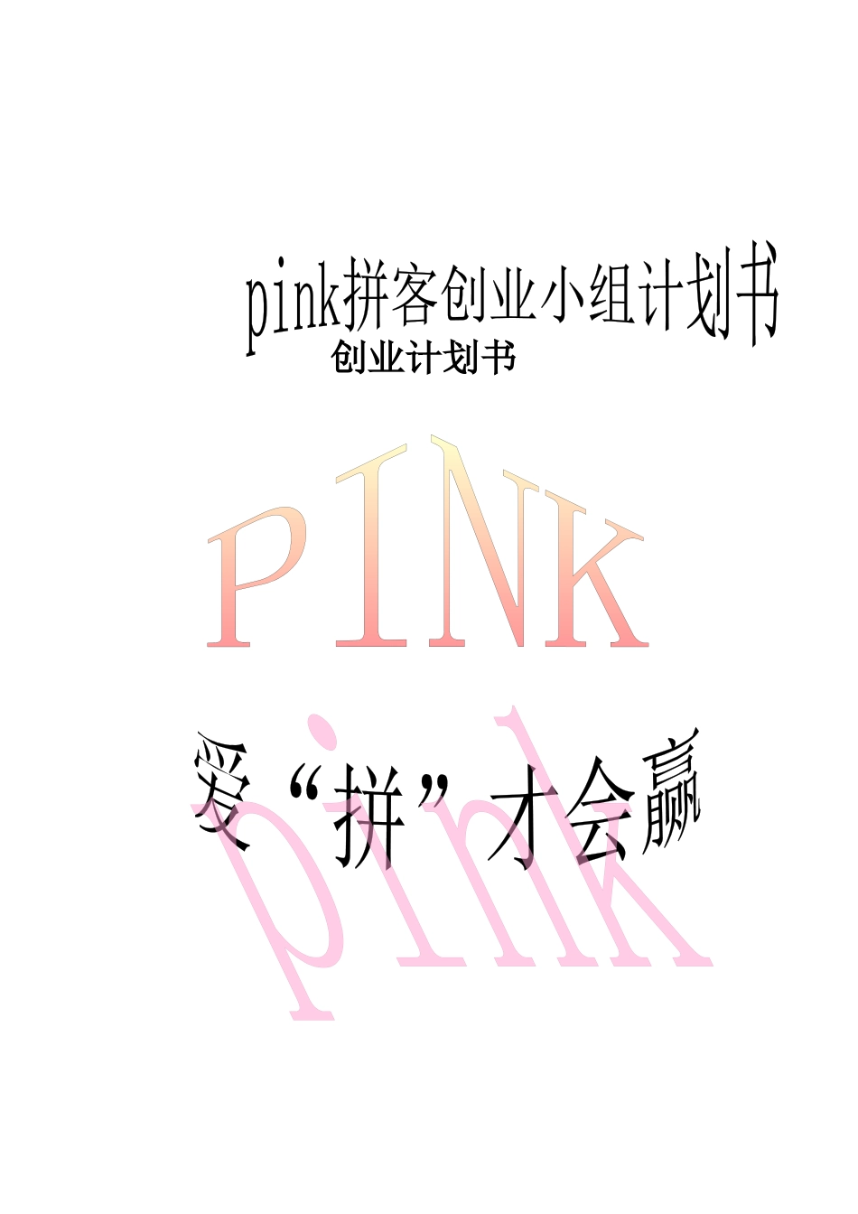 拼客公司计划书_第1页