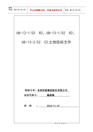 投标书(东拼西凑)