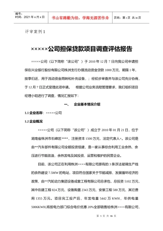 担保贷款项目调查报告及评审案例分析