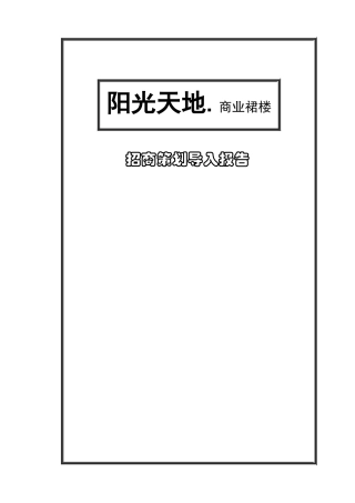 招商策划导入报告