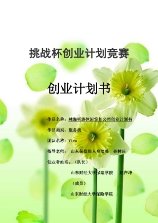 挑战杯创业计划竞赛创业计划书