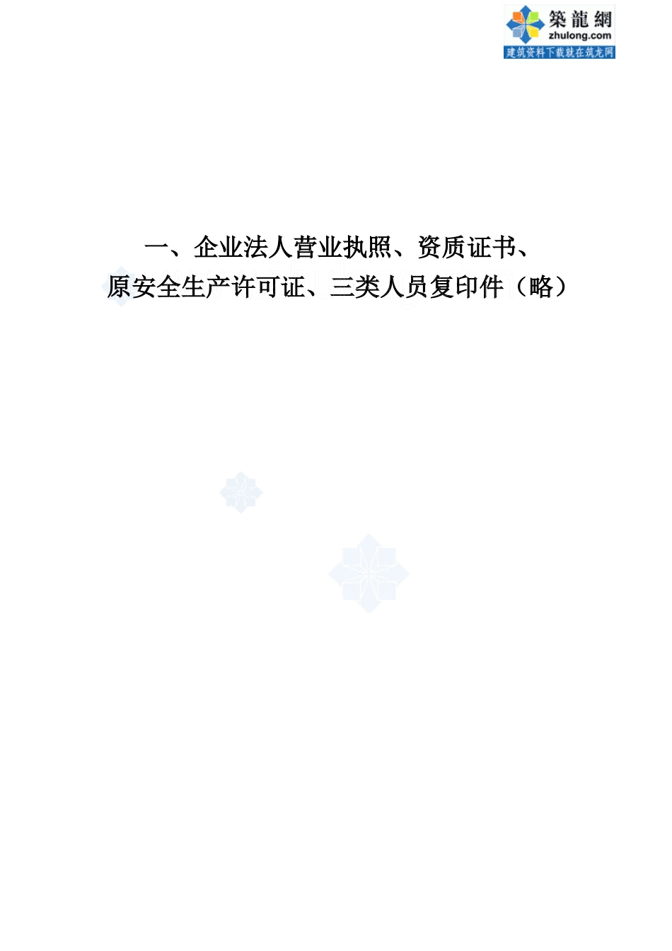 江苏某公司建筑施工企业安全生产许可证申报材料(附件)_第3页