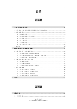 房地产大盘发展策略报告-副本