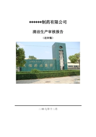 某制药有限公司清洁生产审核报告--km0071