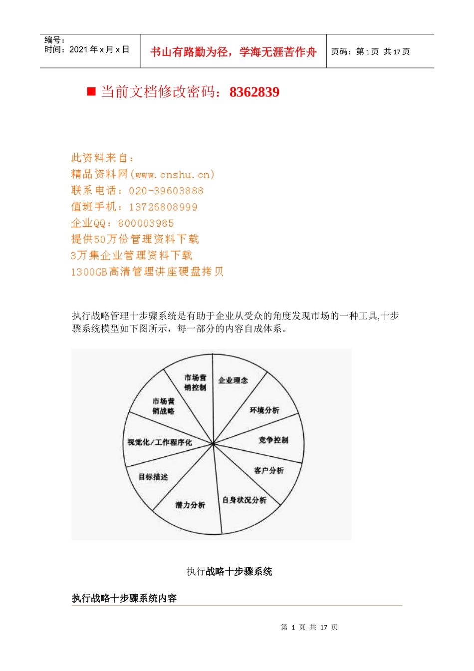 执行战略十步骤系统分析_第1页