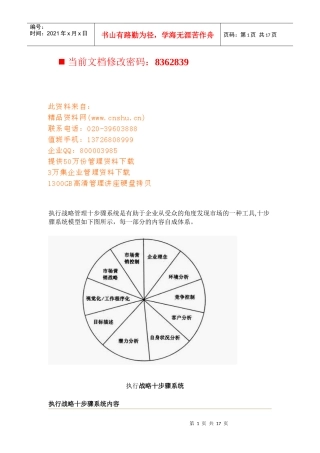 执行战略十步骤系统分析