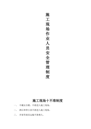 项目部安全生产责任制度和安全操作规程