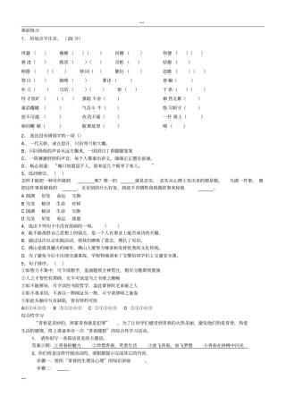 人教版九年级上册语文综合性学习总复习