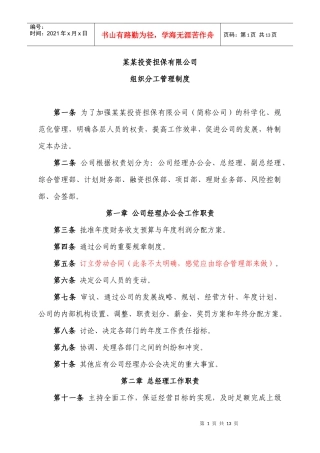 担保投资公司组织分工管理制度