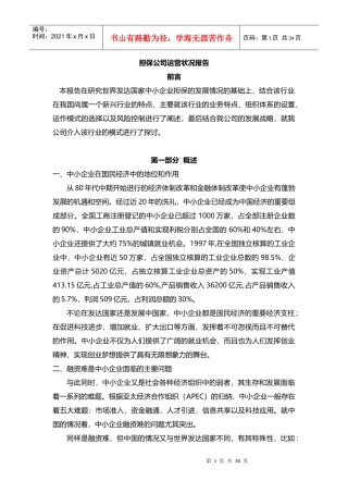 担保公司运营状况报告