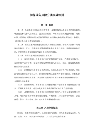 担保业务风险分类实施细则