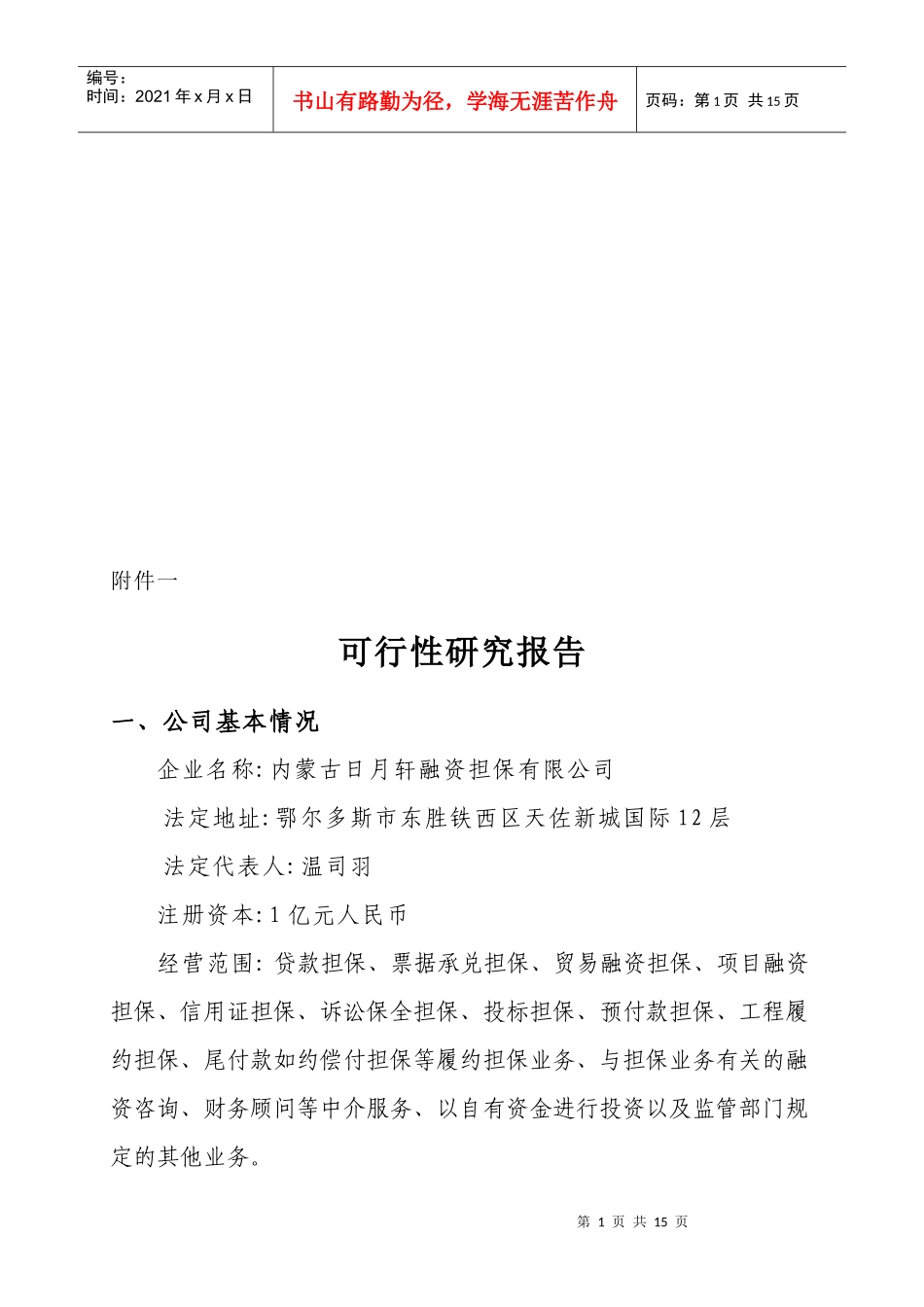 担保可行性分析报告_第1页