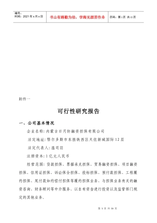 担保可行性分析报告