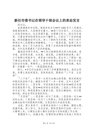 新任市委书记在领导干部会议上的表态发言稿 (3)