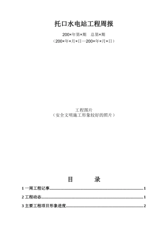 托口水电站工程建设周报(模版)