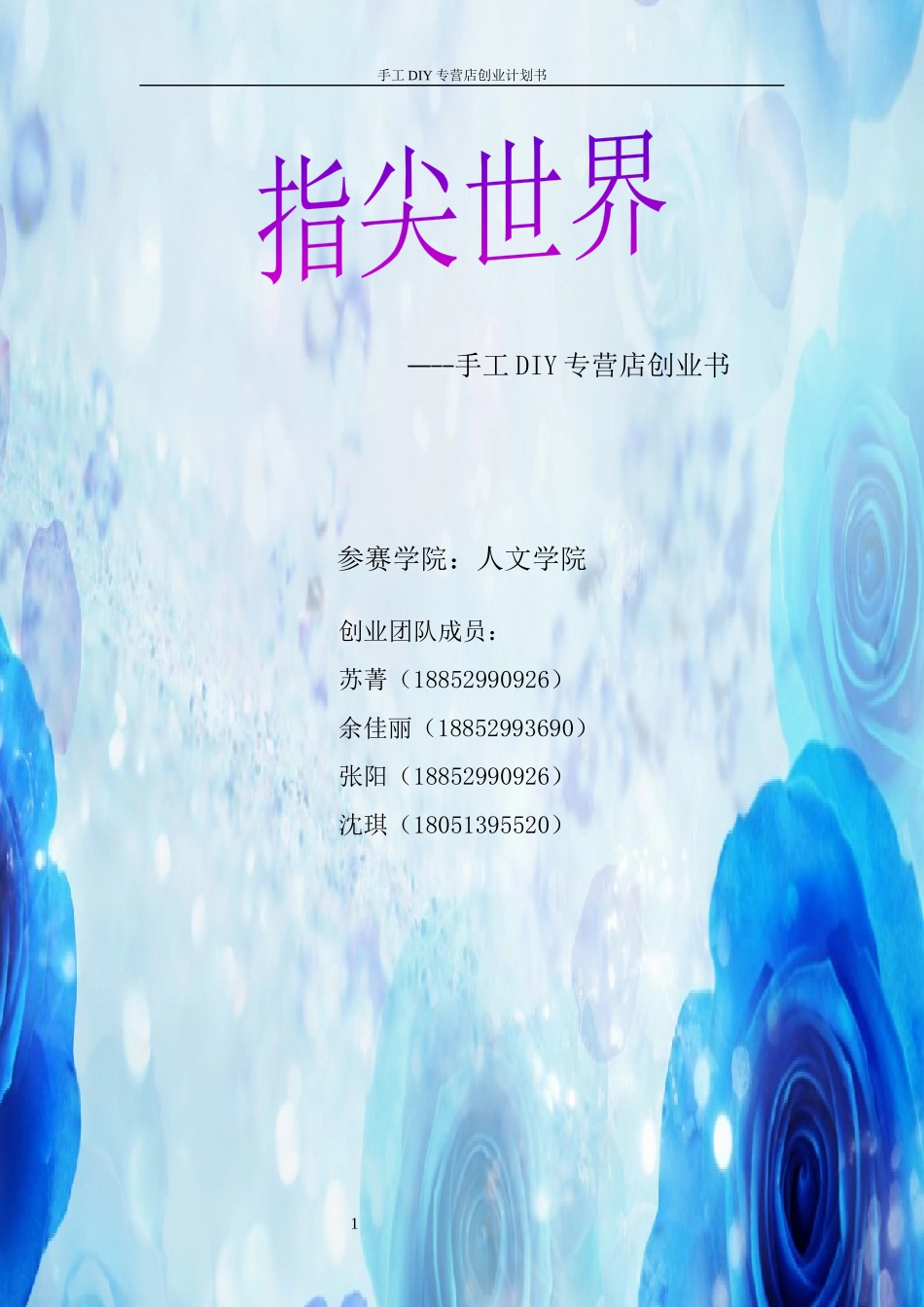 手工DIY专营店创业计划书_第1页