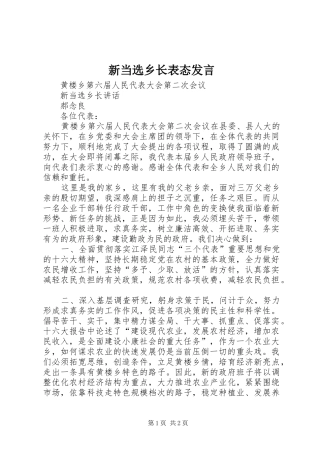 新当选乡长表态发言稿 (3)