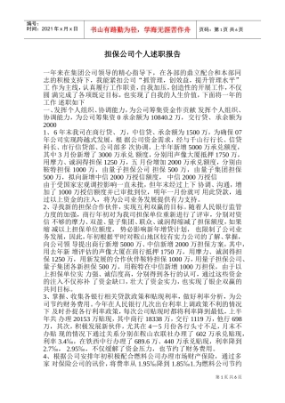 担保公司个人述职报告