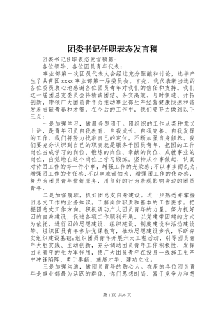团委书记任职表态发言