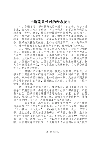 当选副县长时的表态发言稿