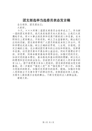 团支部选举当选委员表态发言